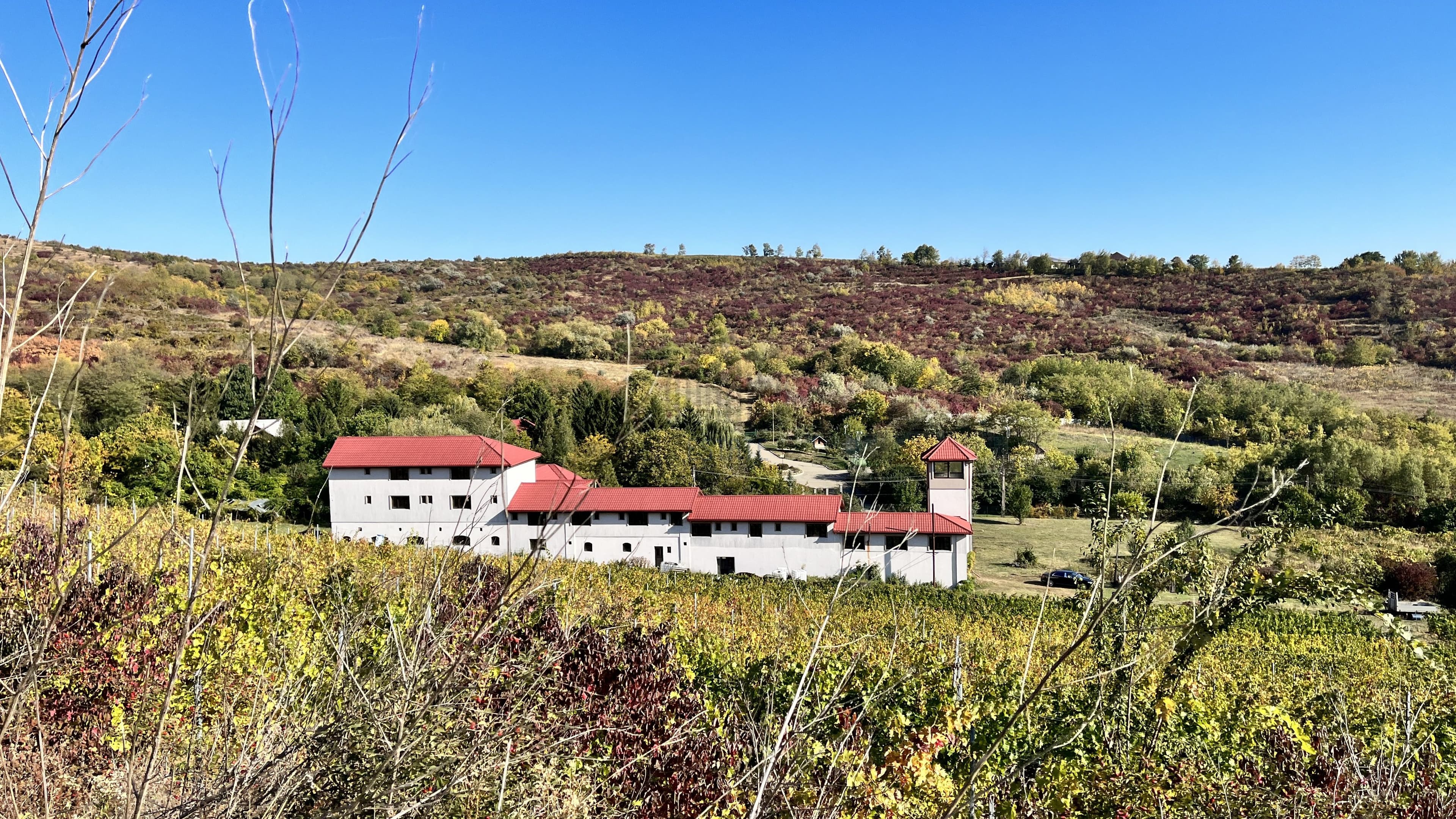 14Ha podgorie, livada pomi fructiferi, si conac 3000mp